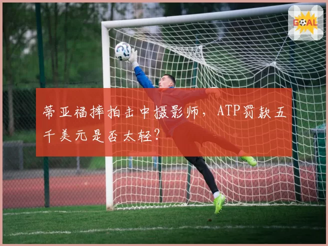 蒂亚福摔拍击中摄影师，ATP罚款五千美元是否太轻？